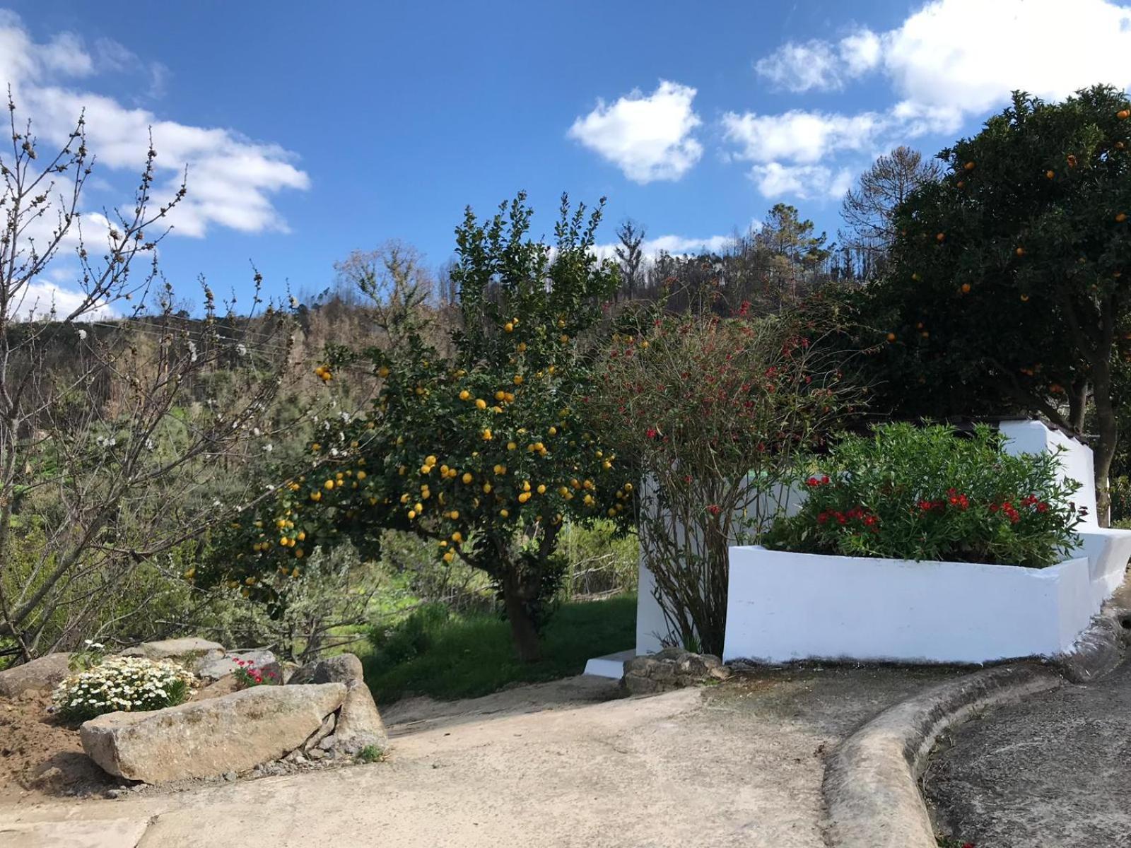 Casas Bemposta Villa Monchique Kültér fotó