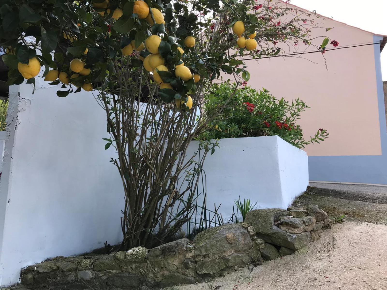 Casas Bemposta Villa Monchique Kültér fotó