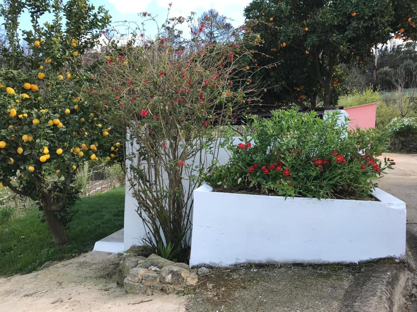 Casas Bemposta Villa Monchique Kültér fotó